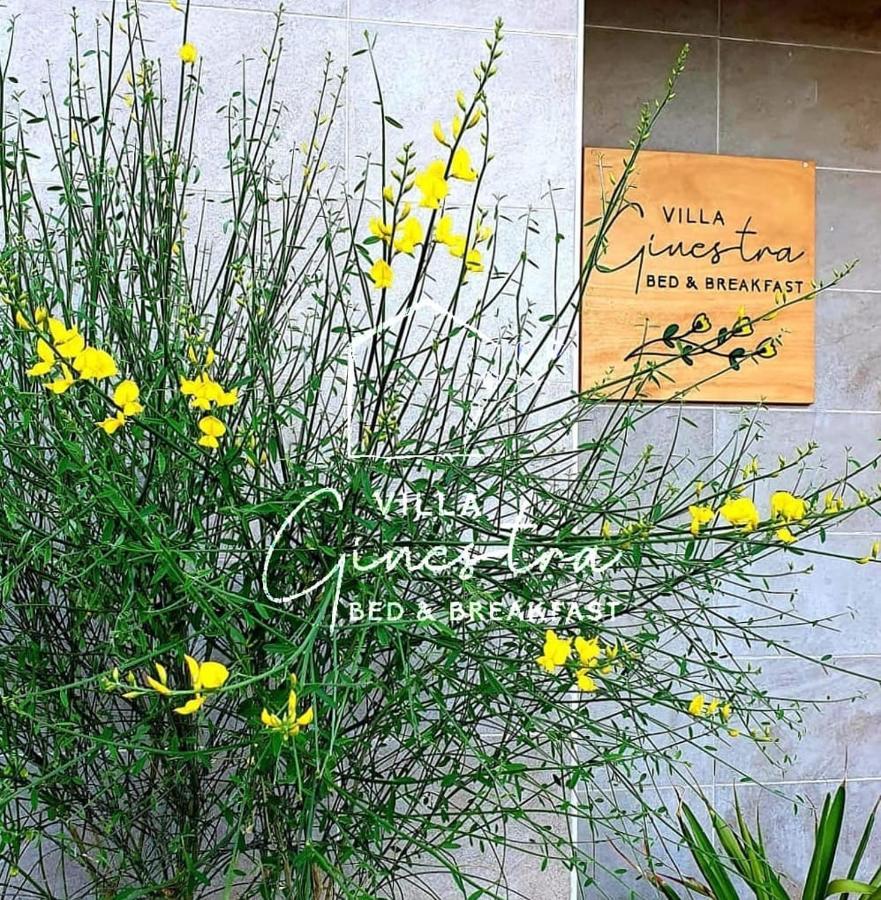 B&B Villa Ginestra Pescara Dış mekan fotoğraf